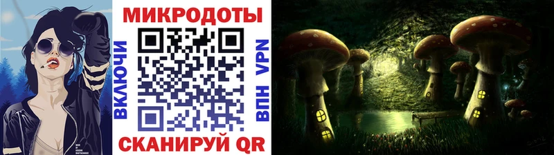 Псилоцибиновые грибы Psilocybine cubensis  OMG tor  Славгород 